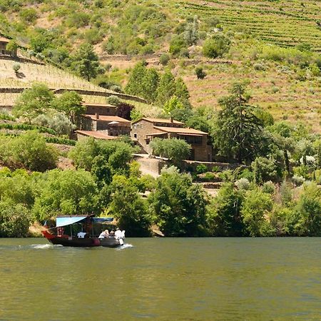 Quinta De S. Jose - Turismo Rural Ervedosa do Douro Εξωτερικό φωτογραφία