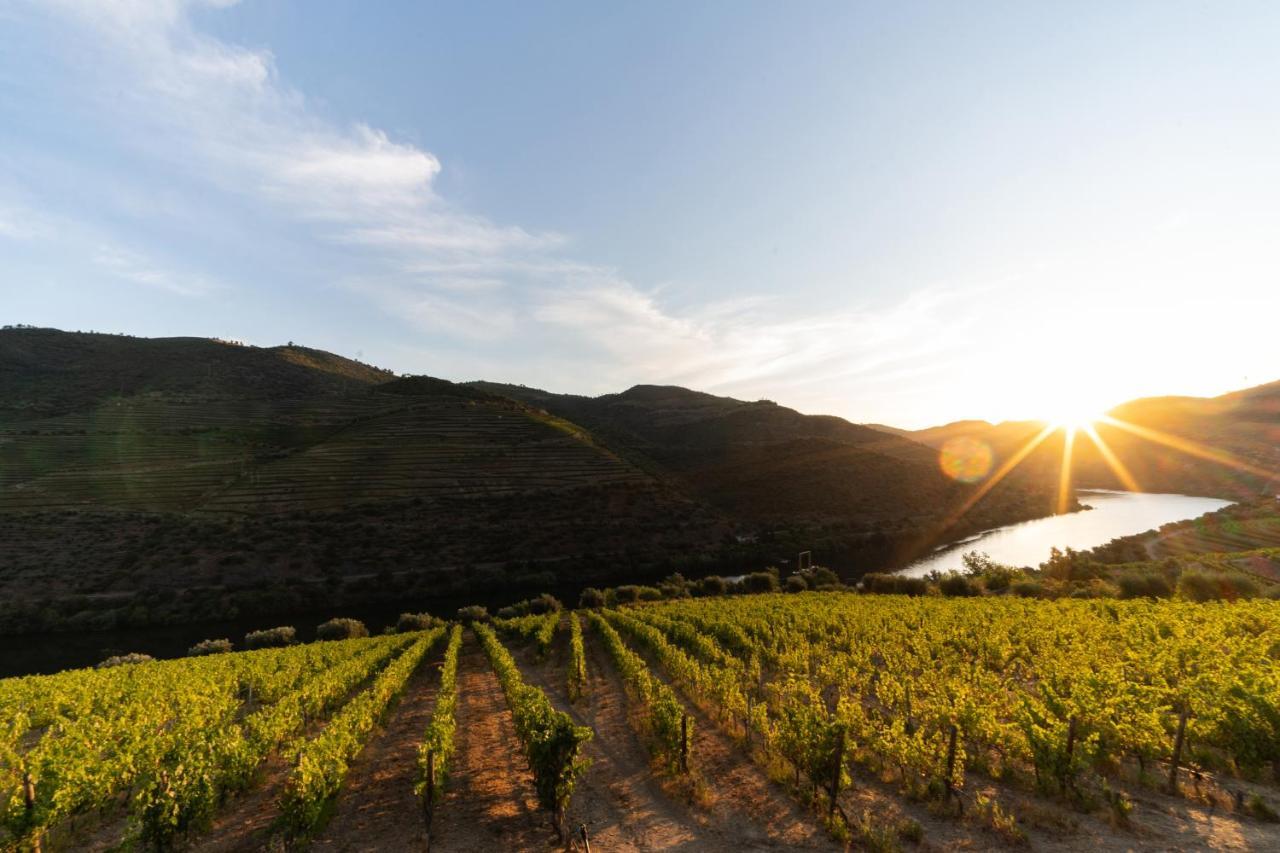 Quinta De S. Jose - Turismo Rural Ervedosa do Douro Εξωτερικό φωτογραφία