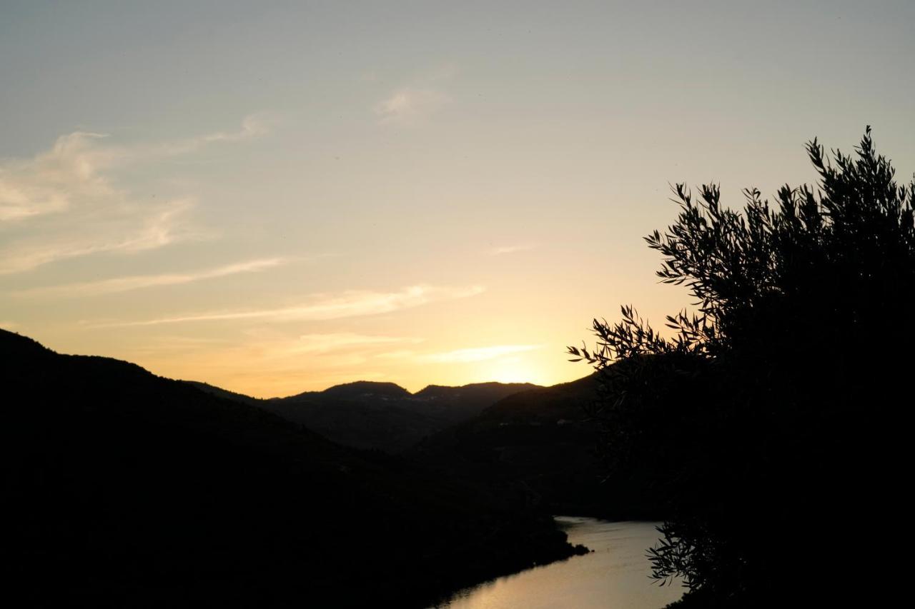 Quinta De S. Jose - Turismo Rural Ervedosa do Douro Εξωτερικό φωτογραφία